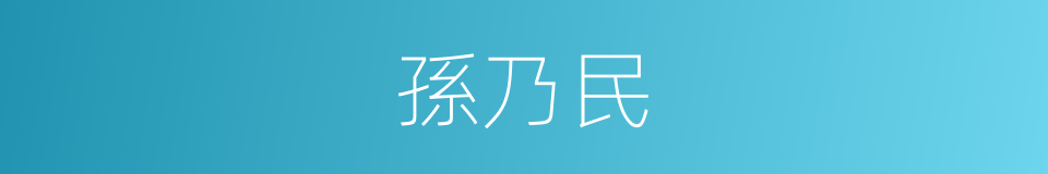 孫乃民的同義詞