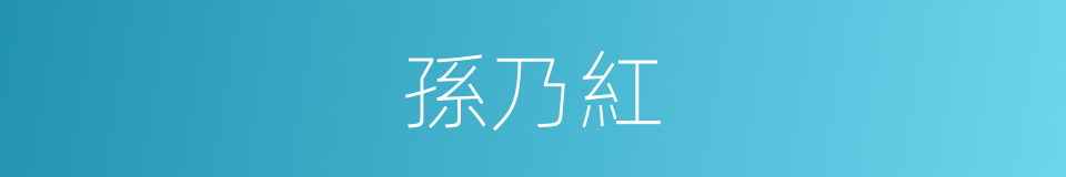 孫乃紅的同義詞