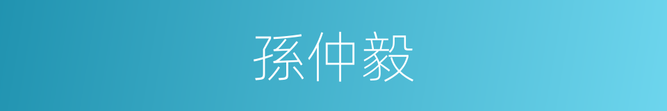 孫仲毅的同義詞