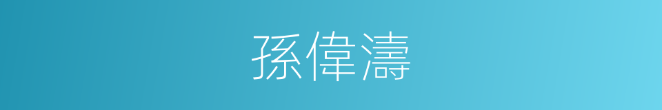 孫偉濤的同義詞