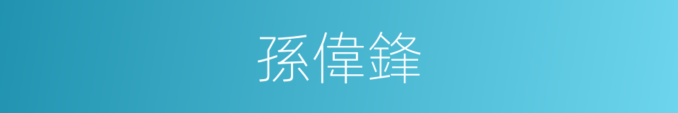 孫偉鋒的同義詞