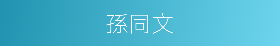 孫同文的同義詞