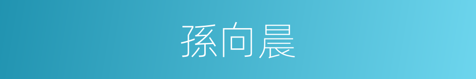 孫向晨的同義詞