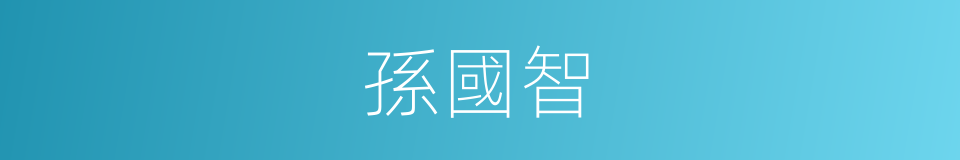 孫國智的同義詞