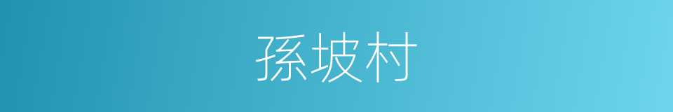 孫坡村的同義詞