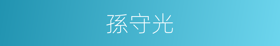 孫守光的同義詞