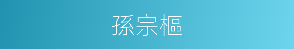 孫宗樞的同義詞