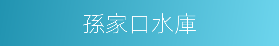 孫家口水庫的同義詞