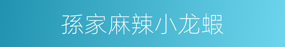 孫家麻辣小龙蝦的同義詞