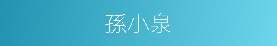 孫小泉的同義詞