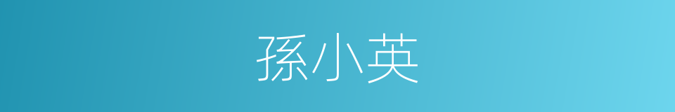 孫小英的同義詞