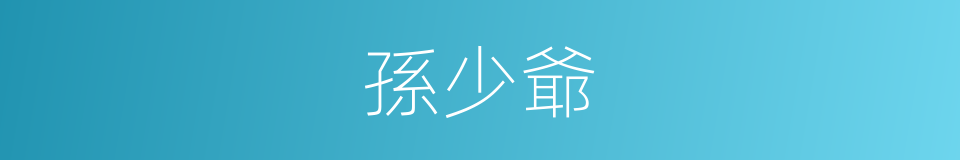 孫少爺的意思