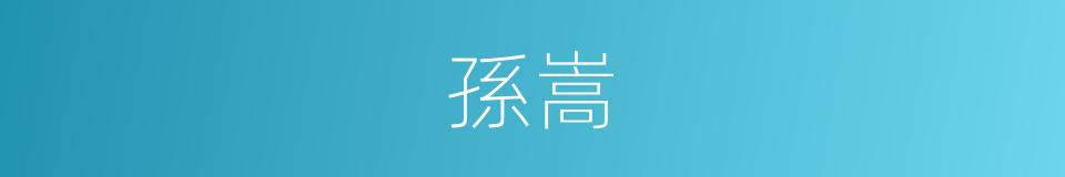 孫嵩的同義詞