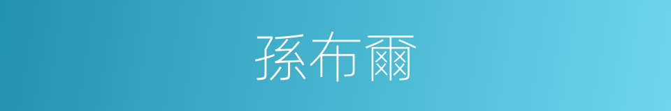 孫布爾的同義詞