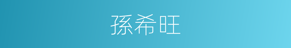 孫希旺的同義詞