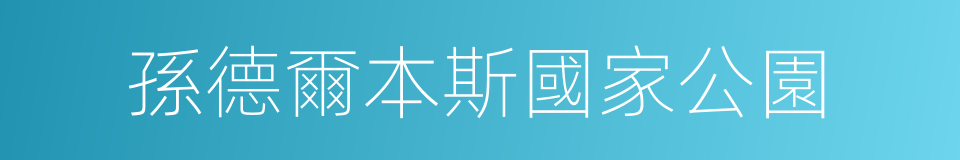 孫德爾本斯國家公園的同義詞