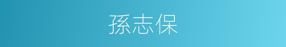 孫志保的同義詞