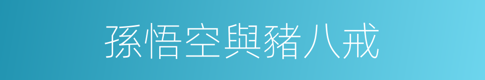 孫悟空與豬八戒的同義詞