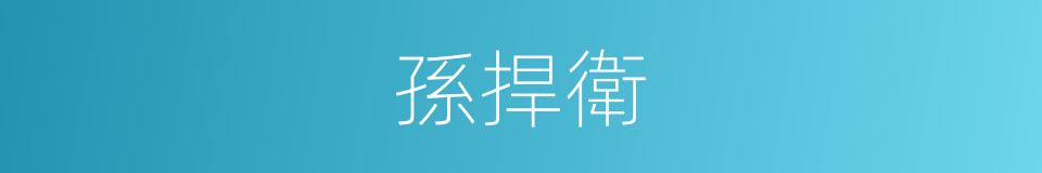 孫捍衛的同義詞