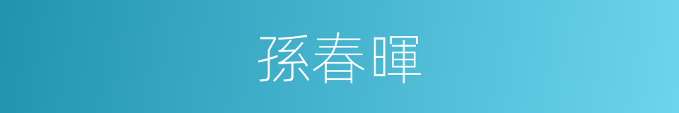 孫春暉的同義詞