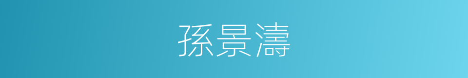 孫景濤的同義詞