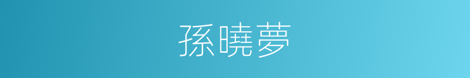 孫曉夢的同義詞