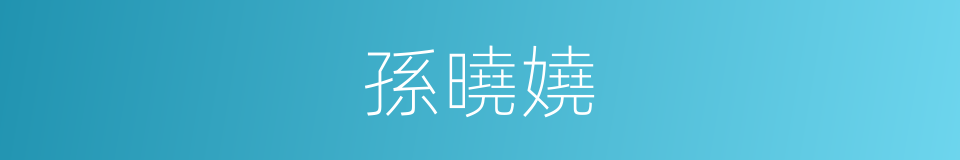 孫曉嬈的同義詞