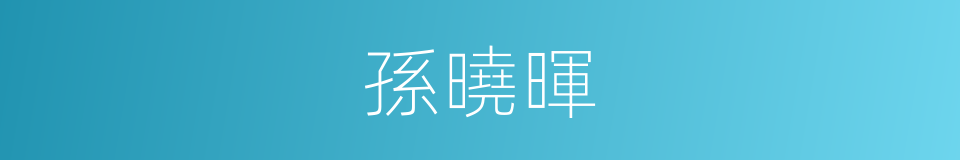 孫曉暉的同義詞