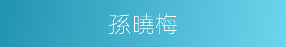 孫曉梅的同義詞