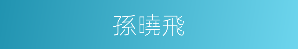 孫曉飛的同義詞