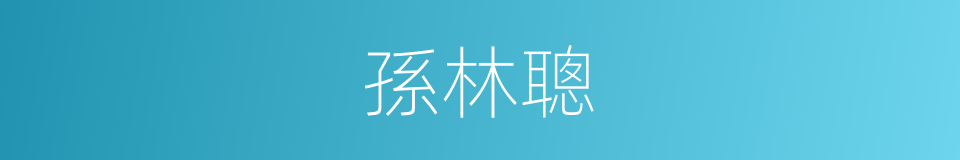 孫林聰的同義詞