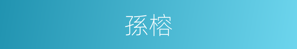 孫榕的同義詞