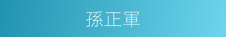 孫正軍的同義詞