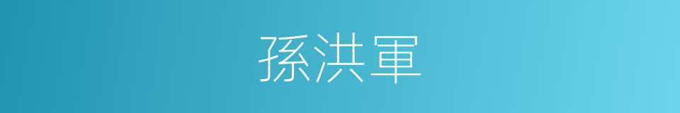 孫洪軍的同義詞
