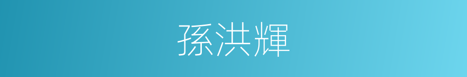 孫洪輝的同義詞