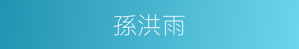 孫洪雨的同義詞