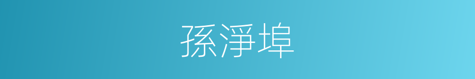 孫淨埠的同義詞