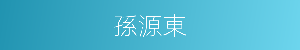 孫源東的同義詞