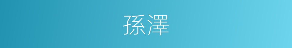 孫澤的同義詞