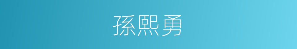 孫熙勇的同義詞