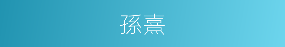 孫熹的同義詞