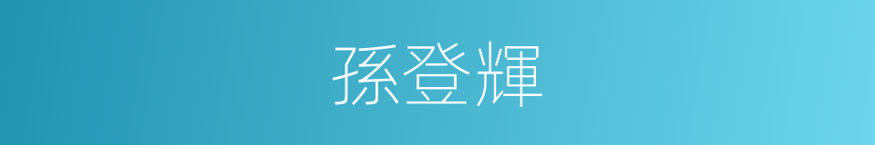 孫登輝的同義詞