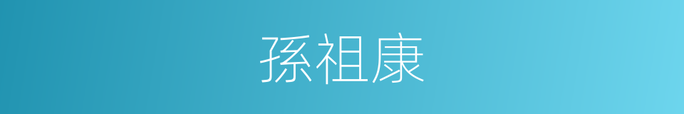 孫祖康的同義詞