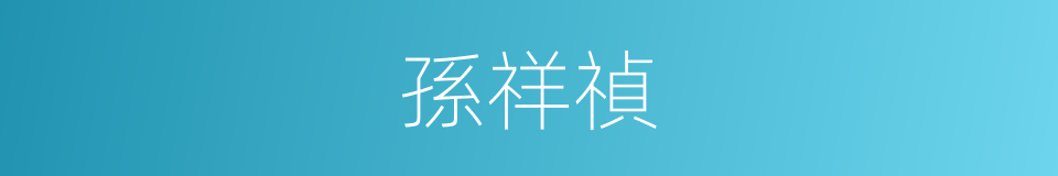 孫祥禎的同義詞