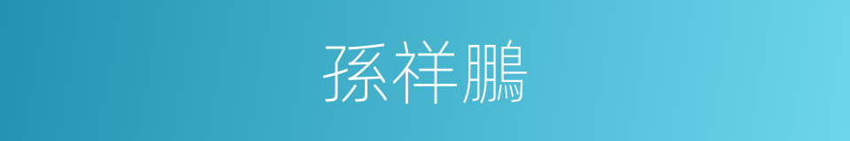 孫祥鵬的同義詞