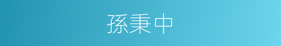 孫秉中的同義詞