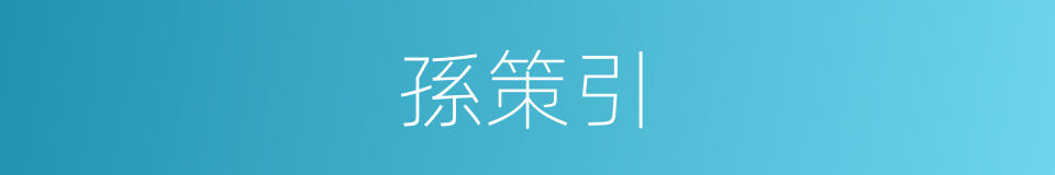 孫策引的同義詞