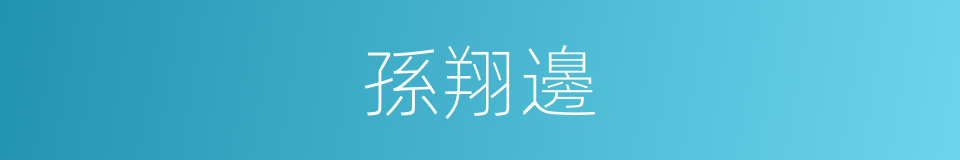 孫翔邊的同義詞