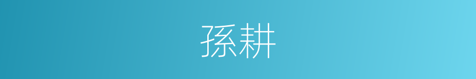 孫耕的同義詞