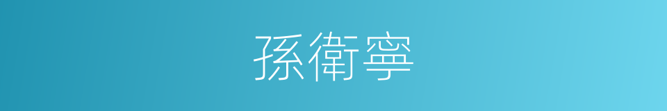 孫衛寧的同義詞